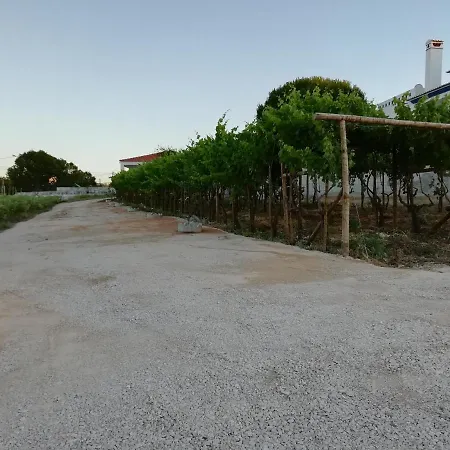 Casa Agrícola Dos Avós Casa de Campo
